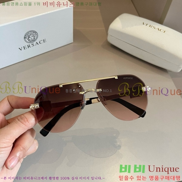 ������ü ���۶� VE102298-2