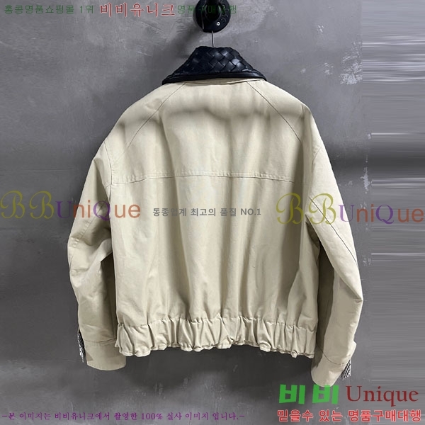 ���� ���װ�����Ÿ ���� BV13061208-1