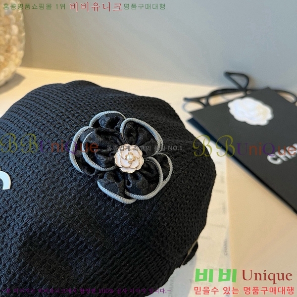 *  CH2520887-1