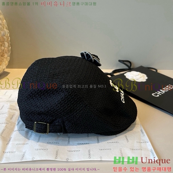*  CH2520887-1