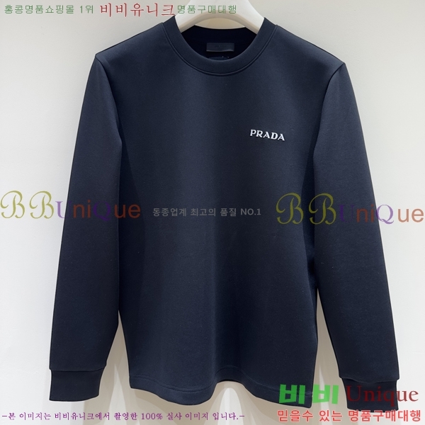    PA171253