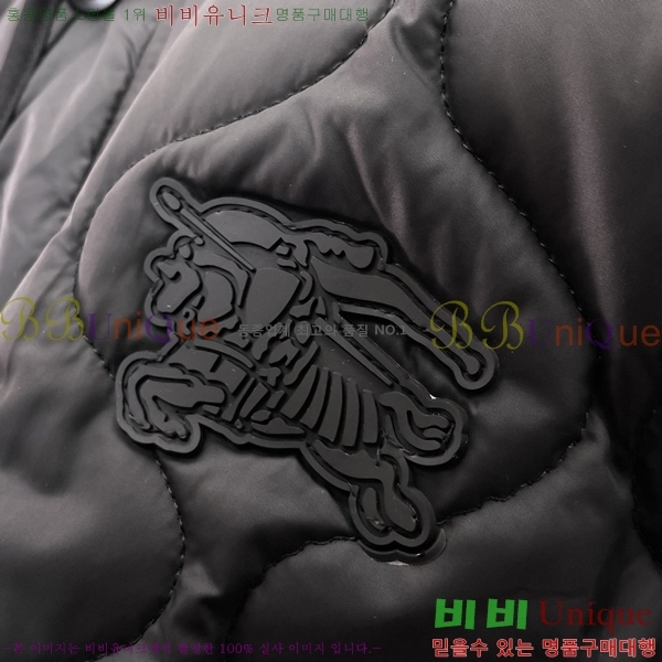 ���� ������ �淮 �е� BU357629