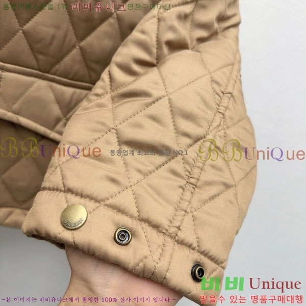 ���� ������ �е� ���� BU234085-1