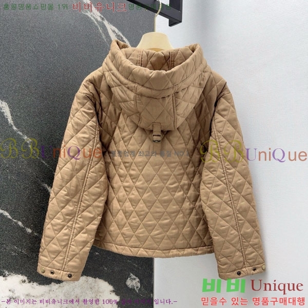 ���� ������ �е� ���� BU234085-1