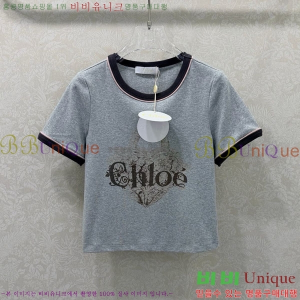 ���� ���ο� ���� Ƽ���� CHE23023-2