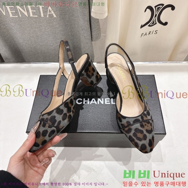 ���� ��* ������ ������ MV6546603  �� 6.5cm