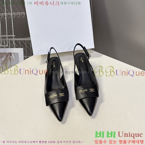 ������ ������ ���� CE2566604-1