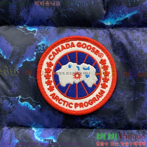 �������� ĳ���ٱ��� �е� ���� CA794217