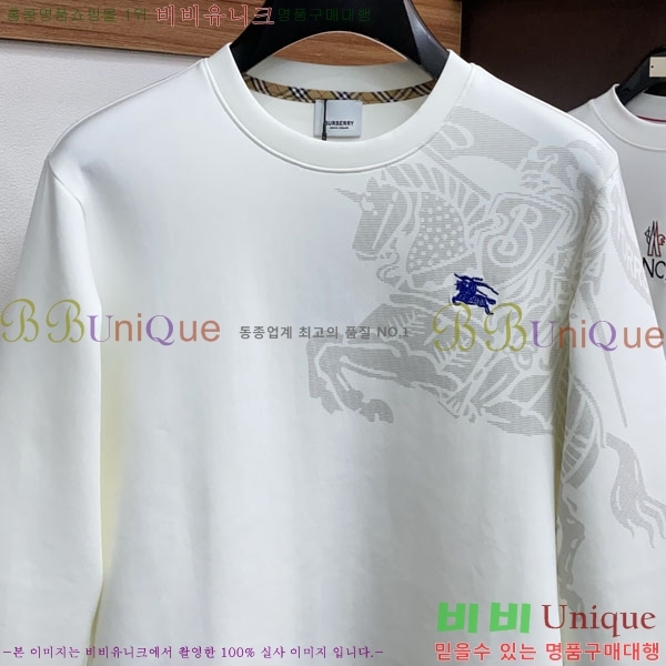 ���� ������ ������ B8452719-2