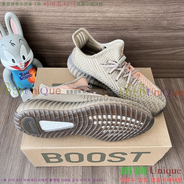 �Ƶ�ٽ� �����ν�Ʈ 350 AD52621066-3