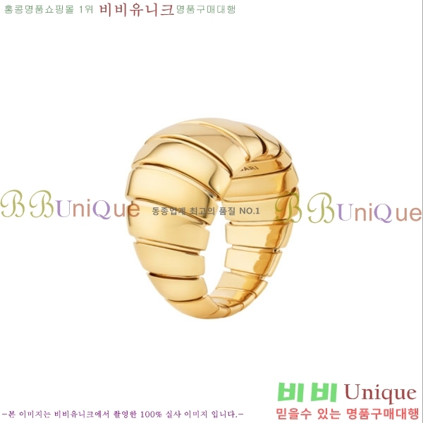 �Ұ��� ���� BVLG08670-1