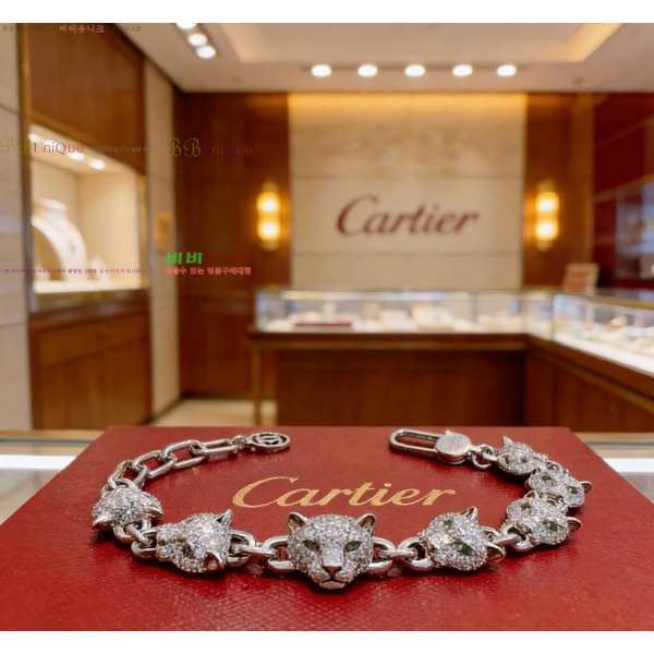 �������� ��쿡 ���� CA3434507-5