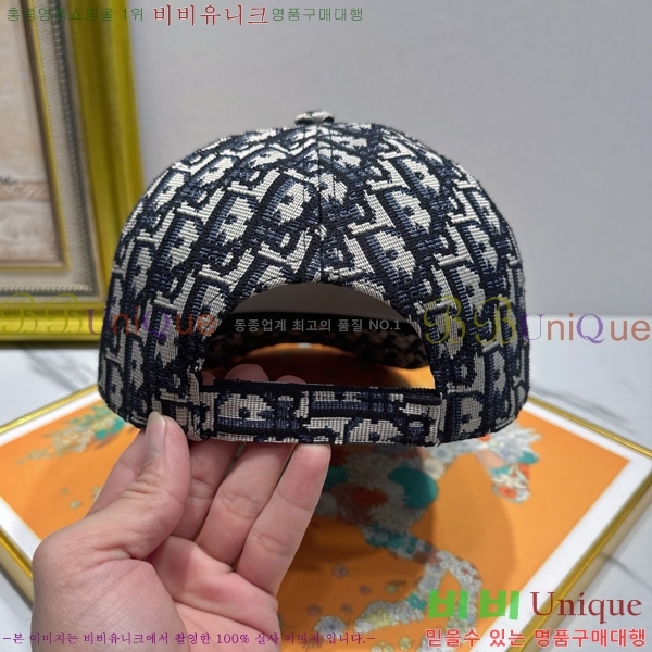 ��� ���� ��ĸ DR2631893-1 ����