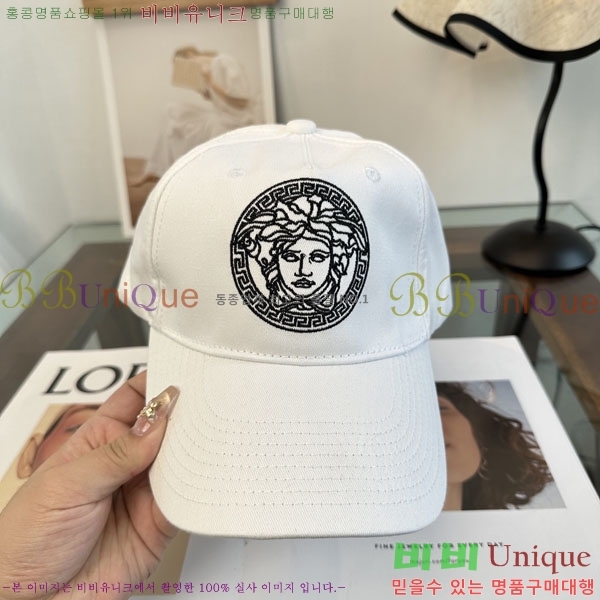 ����*ü ���� V86421-2