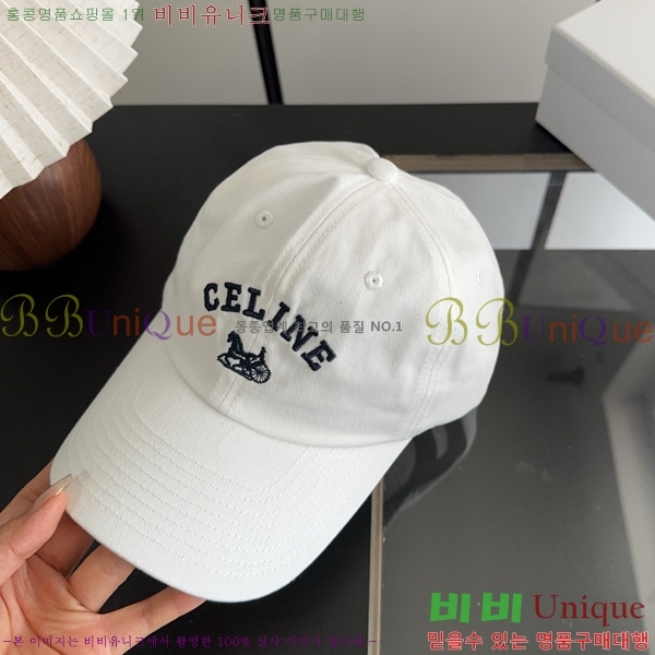  ������ �߱����� SE137756-2